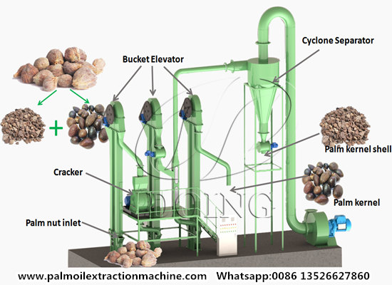 A Lebanese customer purchased 2-3 tons per hour palm kernel separation equipment  from Henan Glory Company