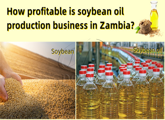 How profitable is soybean oil production business in Zambia?