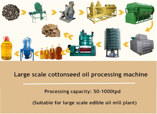 Cottonseed oil production process and cottonseed oil processing machine showing video
