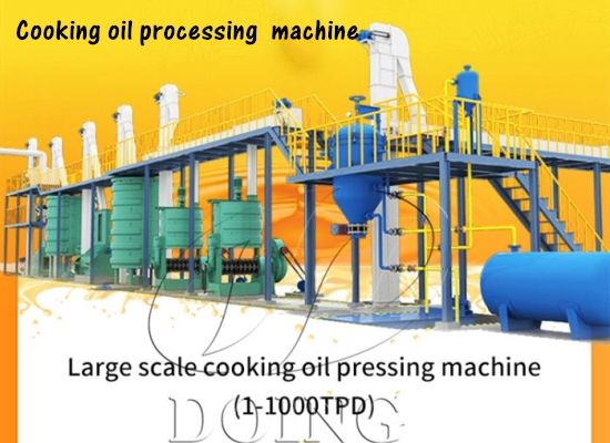 What is the processing process of different oil seeds?