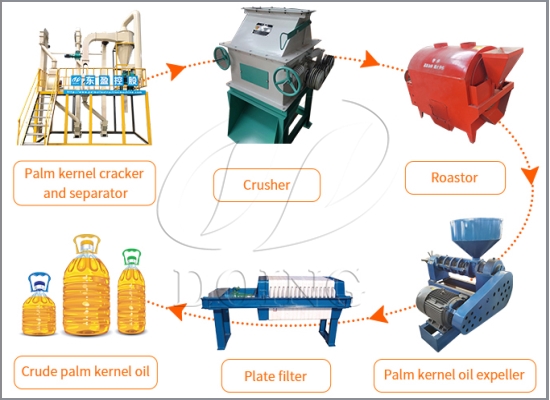 How palm kernel oil is produced? ( the entire processing process from palm nuts to palm kernel oil )