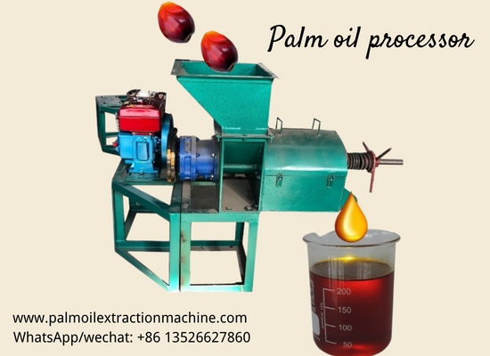 Guinean customer purchased 2 set of 500kg/h palm oil extractor from Doing Company!