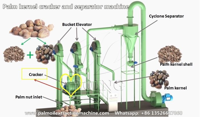  palm kernel cracking and separating machine
