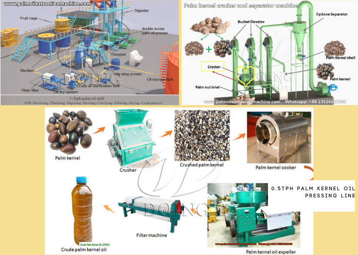 3tph palm oil extraction machine, 2tph palm kernel cracking and separating machine and 0.5tph palm kernel oil extraction machine