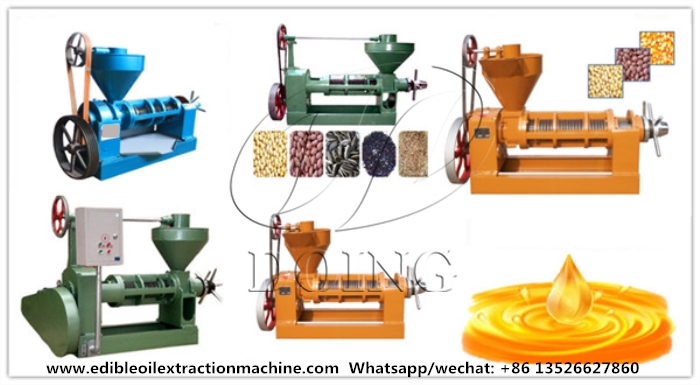 Single screw cooking oil presser photo