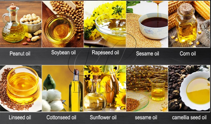 Edible oil production business