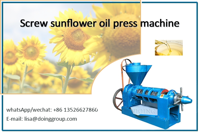 Screw edible oil extraction machine photo