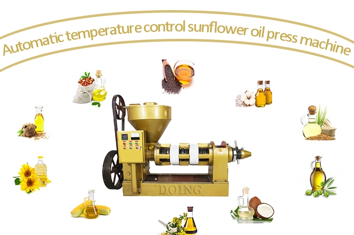 Automatic temperature control edible oil extraction machine photo