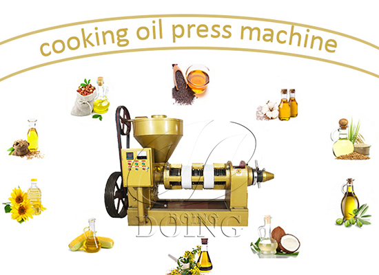 Different extraction methods of edible oil: pressing and solvent extraction