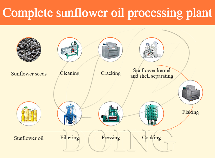 Sunflower oil extraction plant photo