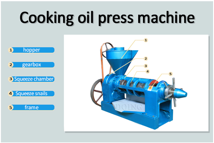 Screw oil press machine photo