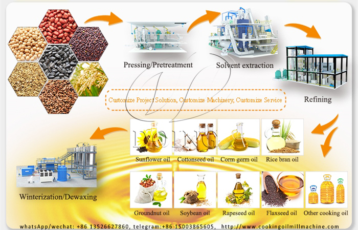 Small scale edible oil production line photo