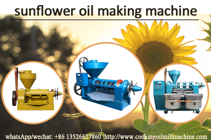 Screw edible oil press machine photo