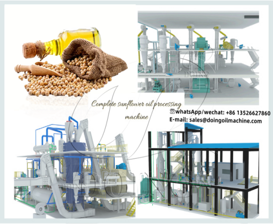 A Nigeria client successfully purchased soybean oil processing plant from Henan Glory Company
