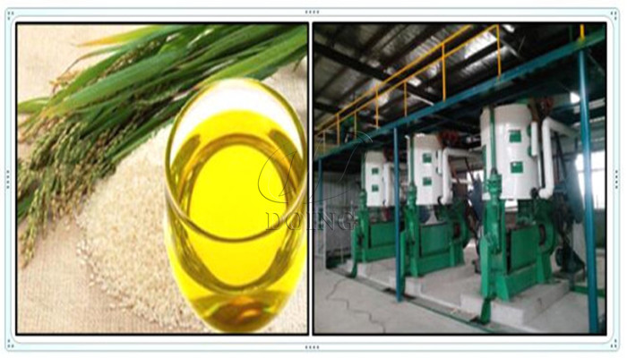 The photo of rice bran oil expeller.jpg