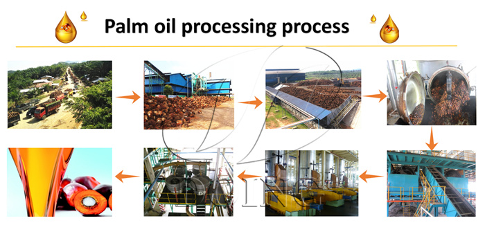 palm oil processing machines.jpg