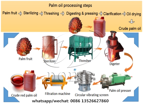 Ghana customer orders 500kg/h palm oil processing line from Henan Doing Company