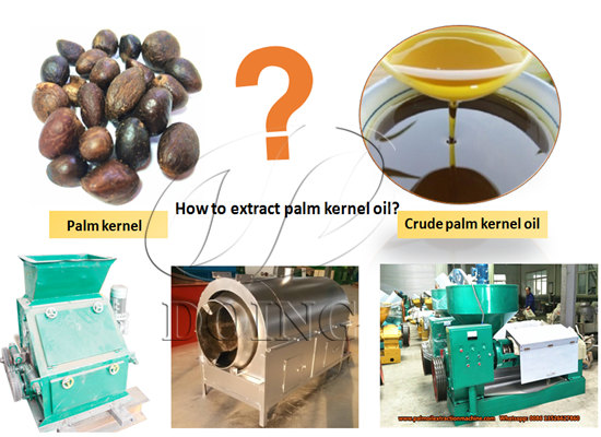 How is palm kernel oil made step by step?