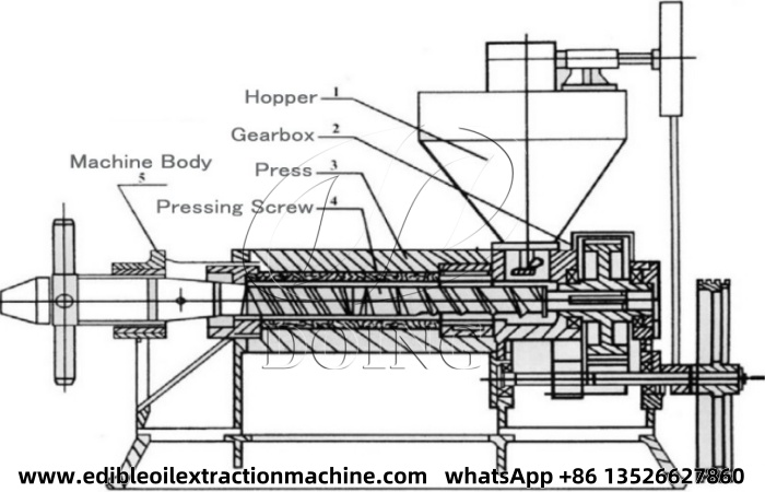 Edible oil press structure.jpg