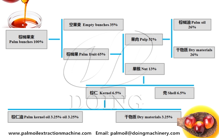 Oil content of palm kernels.jpg