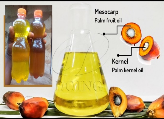 How many tons of the palm kernels will produce 1 ton of the palm kernel oil (PKO)?