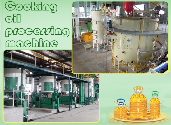 Is it better to process edible oil by pressing or solvent extraction?