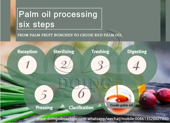 What is the Process Flow from FFB to CPO in a Palm Oil Mill?