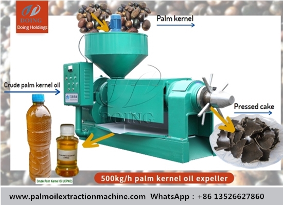 Palm kernel oil expeller machine