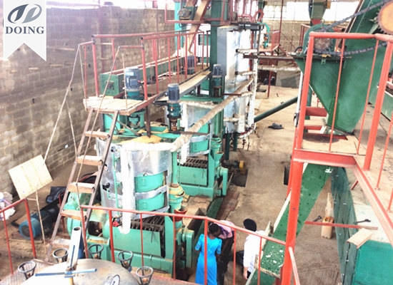 60tpd palm kernel oil mill project in Ondo,Nigeria