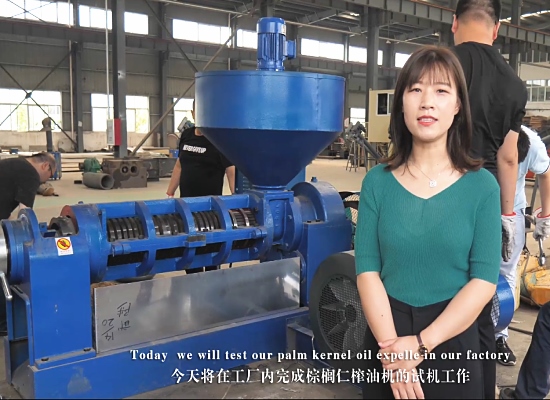 500kg/h small scale palm kernel oil press machine factory test running video