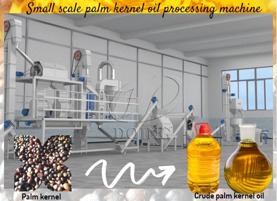 Professional palm kernel oil processing equipment