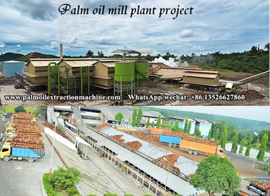 What is the key factor to ensure the success of palm oil processing plant project?