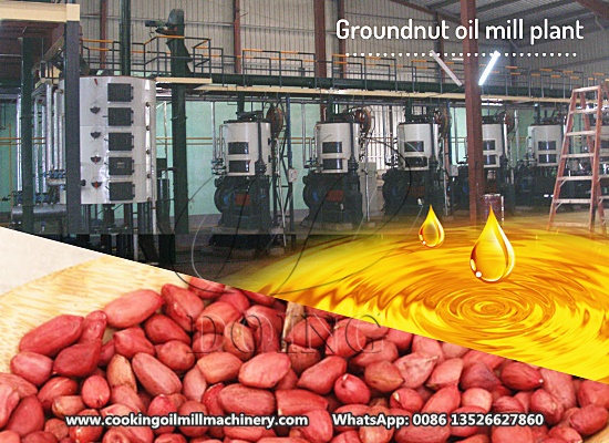 What's the preparatory work for extracting peanut oil in edible oil mill plant?