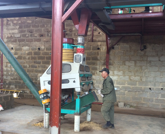 palm kernel oil cleaning machine