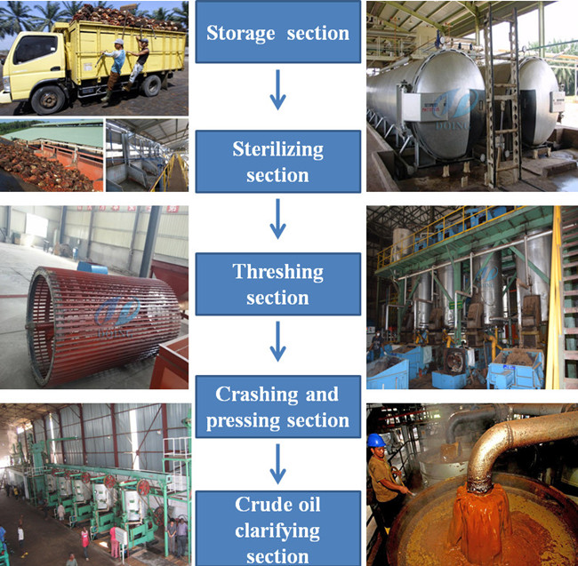 palm oil extraction machine