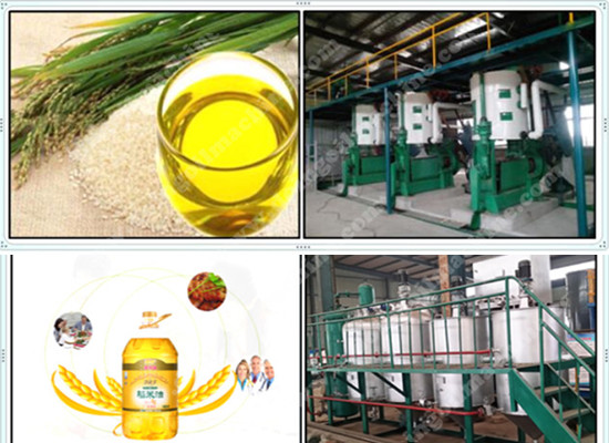 rice bran oil extraction machine 