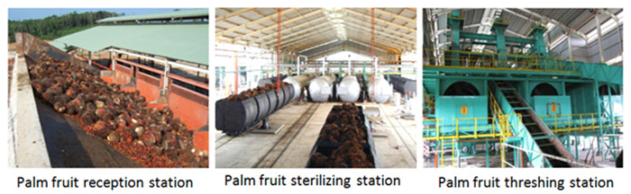 palm oil production machine
