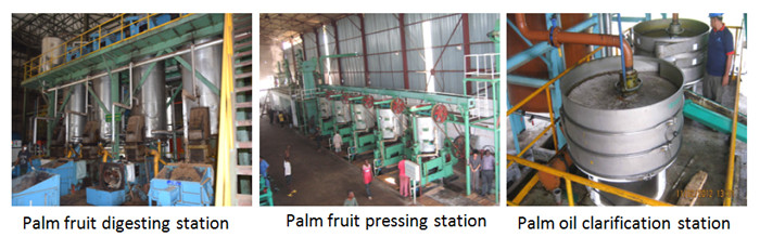 palm oil production machine