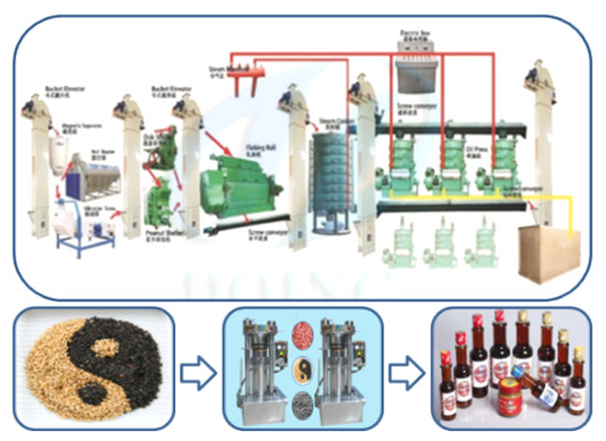 sesame oil extraction machine