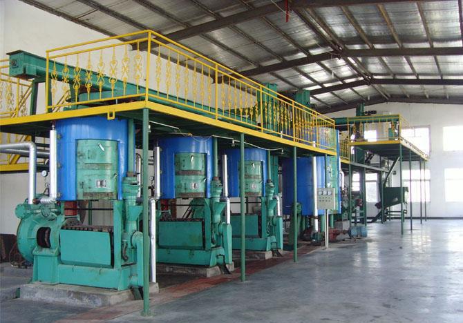 corn germ oil press machine