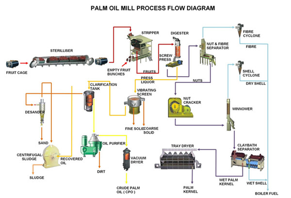 palm oil extraction process 