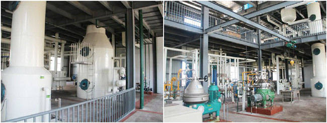 edible oil refining machine 