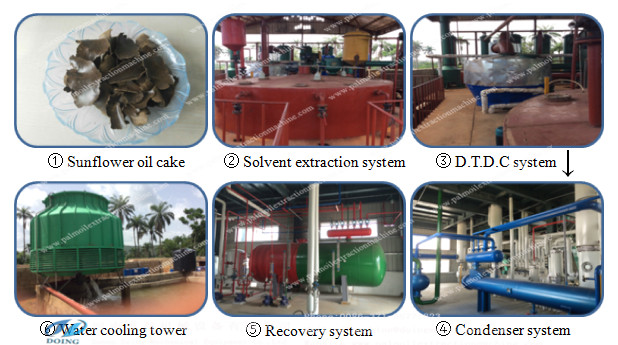 cottonseed oil extraction machine