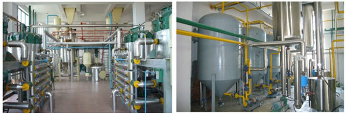 palm kernel oil refinery plant 