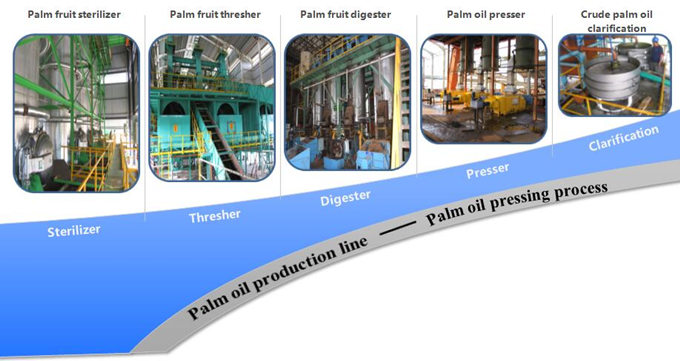 palm oil mill plant