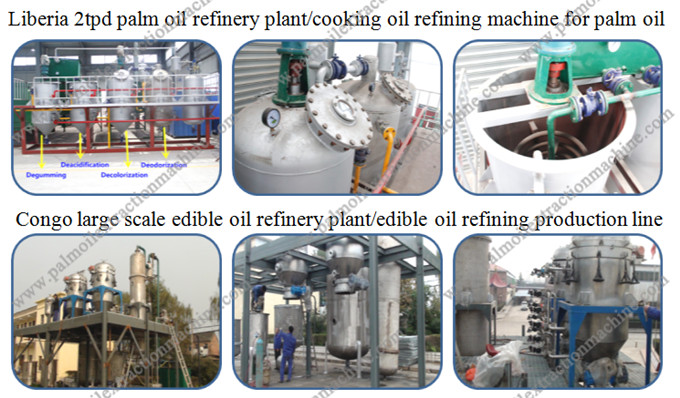 peanut oil refinery plant