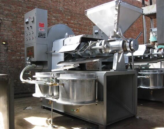 cottonseed oil press machine 