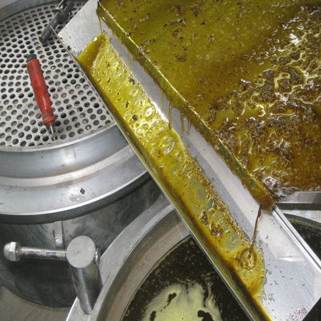 rapeseed oil press machine 