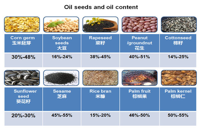 oilseeds