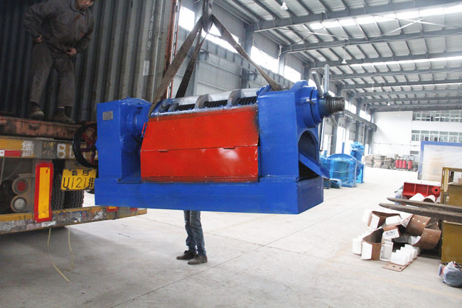 palm kernel oil pressing machine 